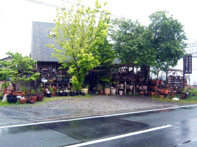 静岡県のガーデニング 造園のお店 スポット い らナビ